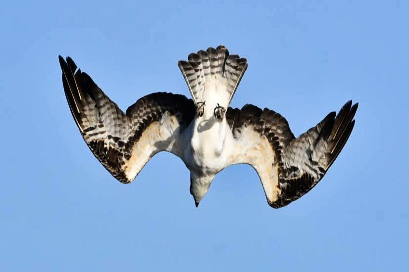 Community photo by Lorraine