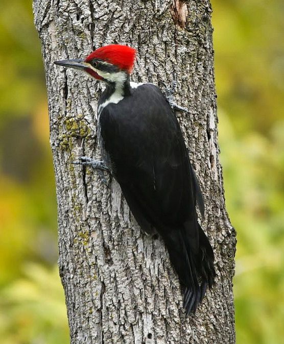 Community photo by Lorraine