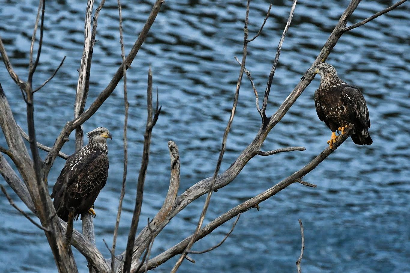 Community photo by Lorraine