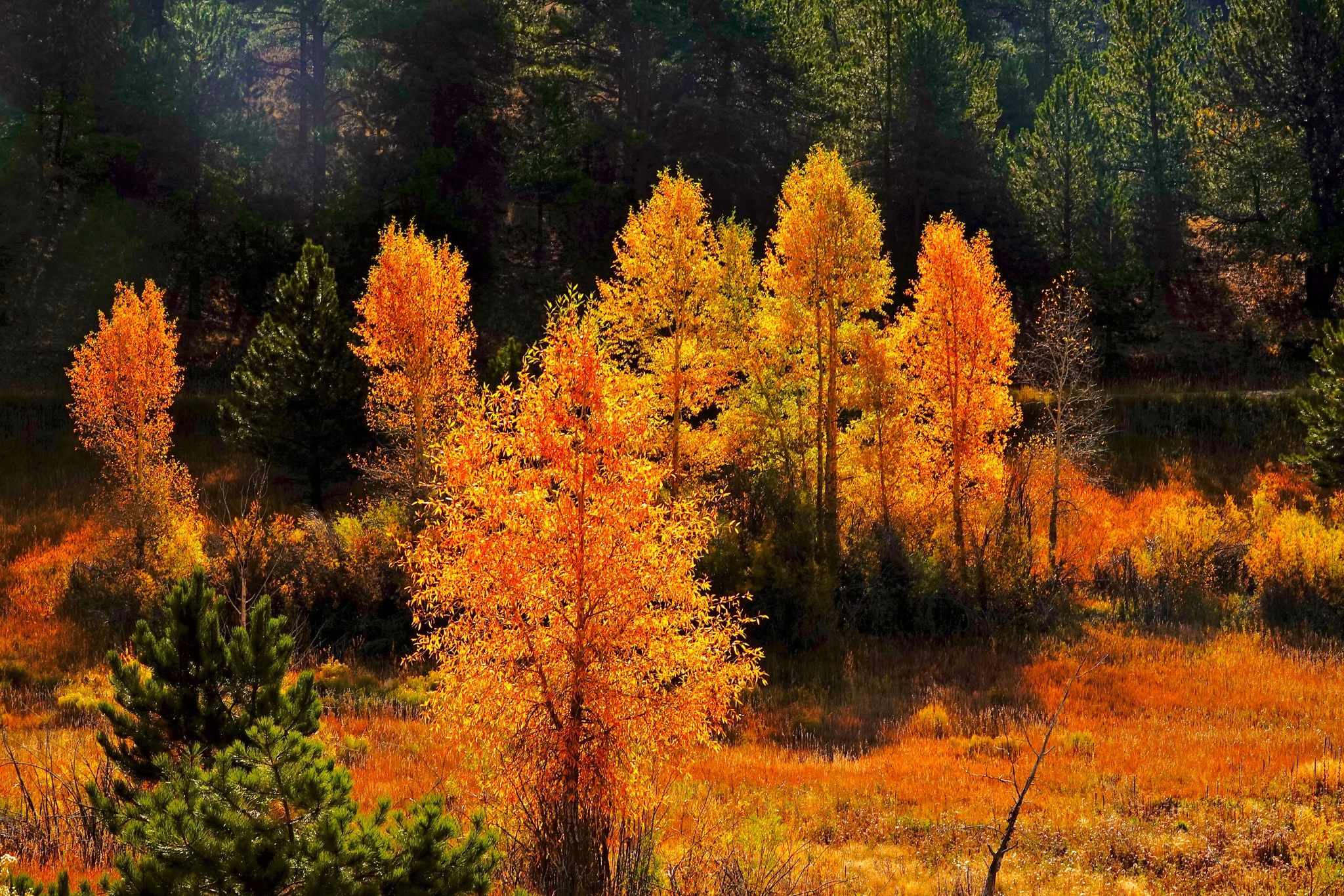 Community photo by Christoph