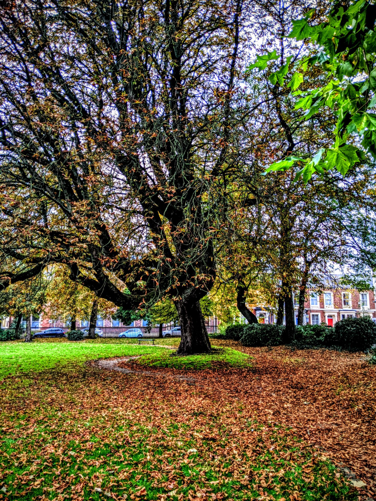 Community photo by Kevan