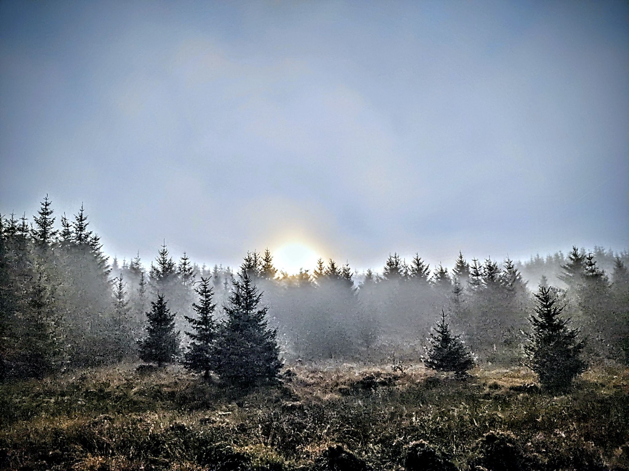 Community photo by Kevan