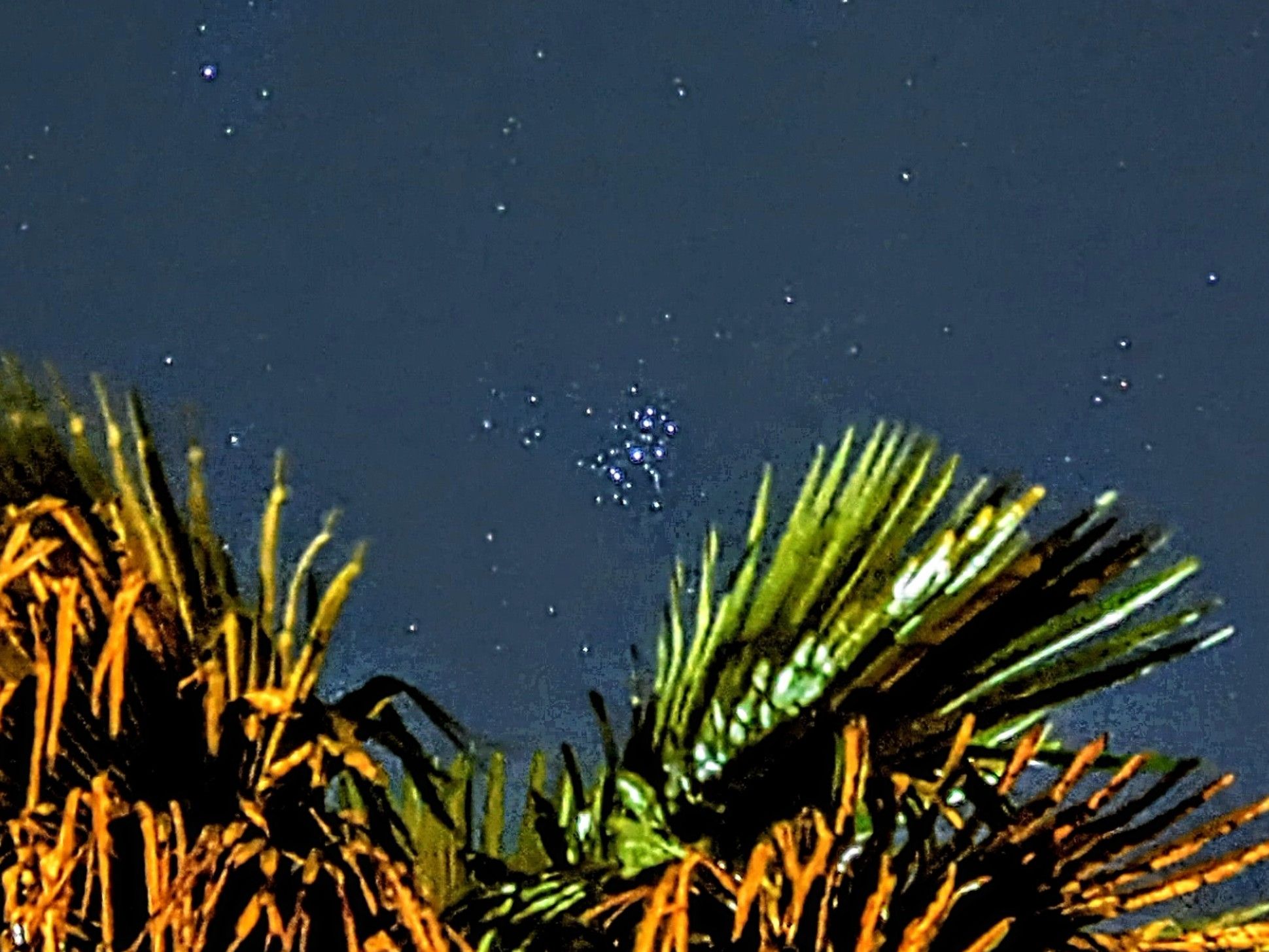 Community photo by Kevan