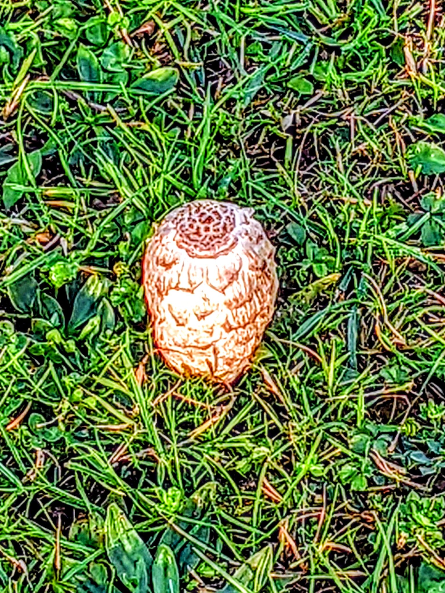 Community photo by Kevan Hubbard | Teesmouth Nature Reserve,Co Durham,England