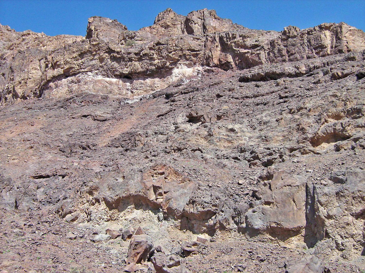 Community photo by Hassan