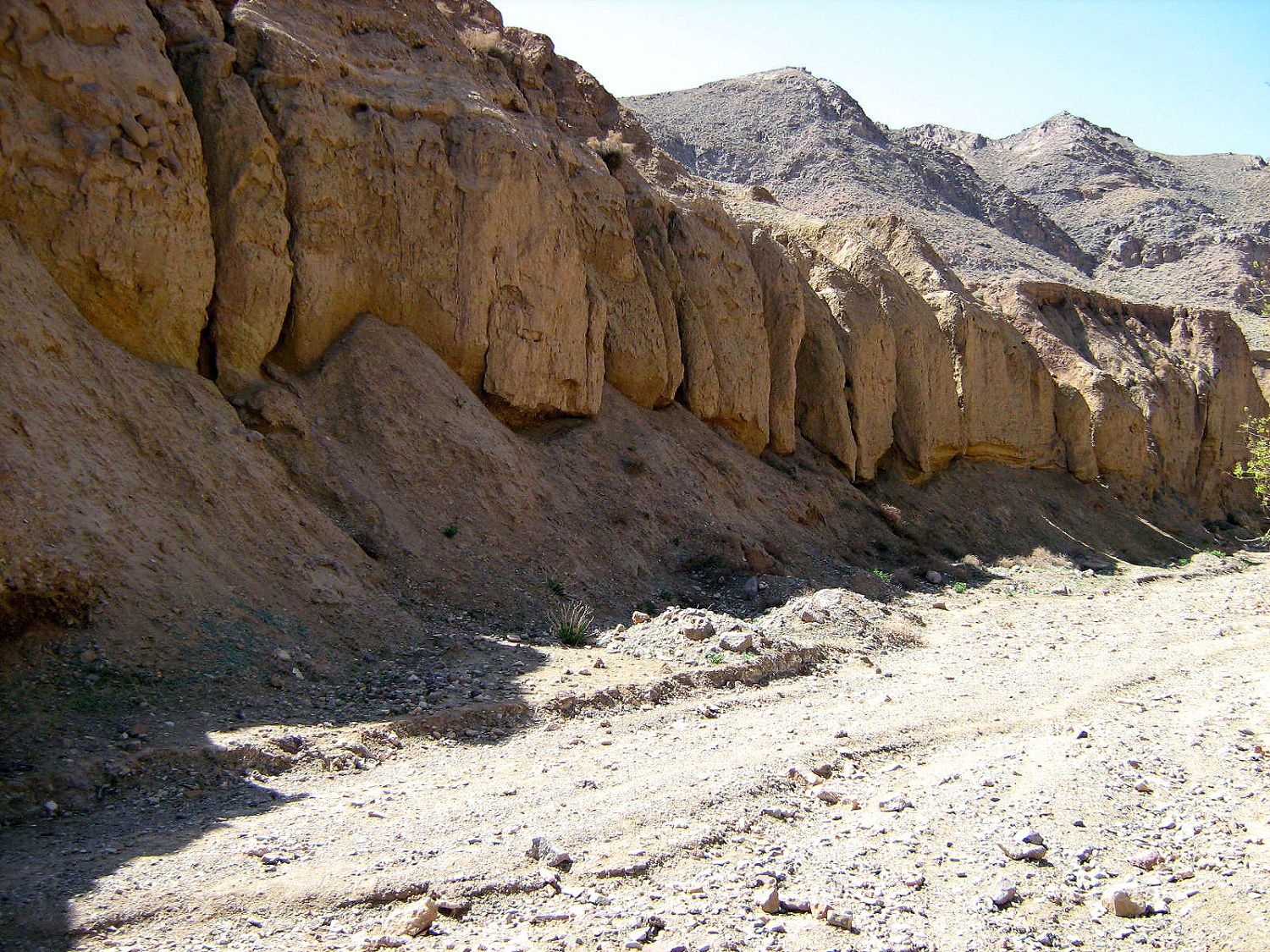 Community photo by Hassan