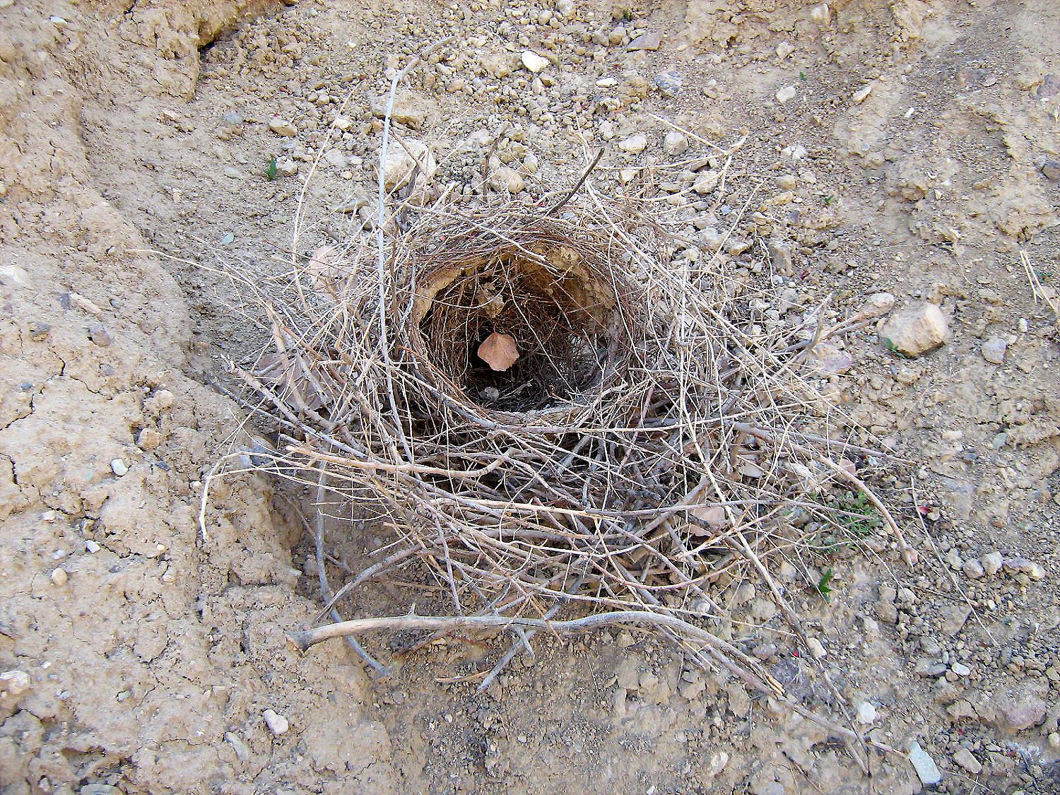 Community photo by Hassan