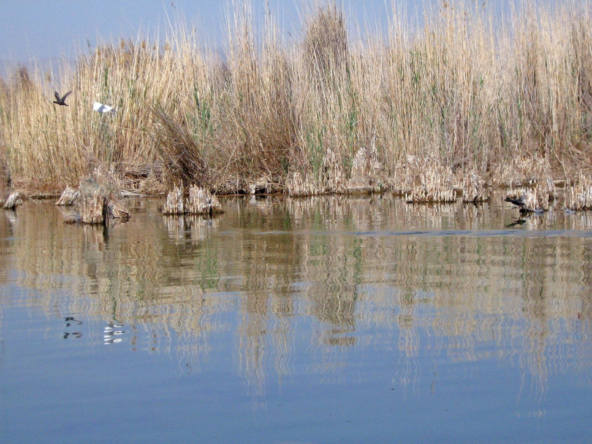 Community photo by Hassan Dadashi  Arani | Fars province. Iran