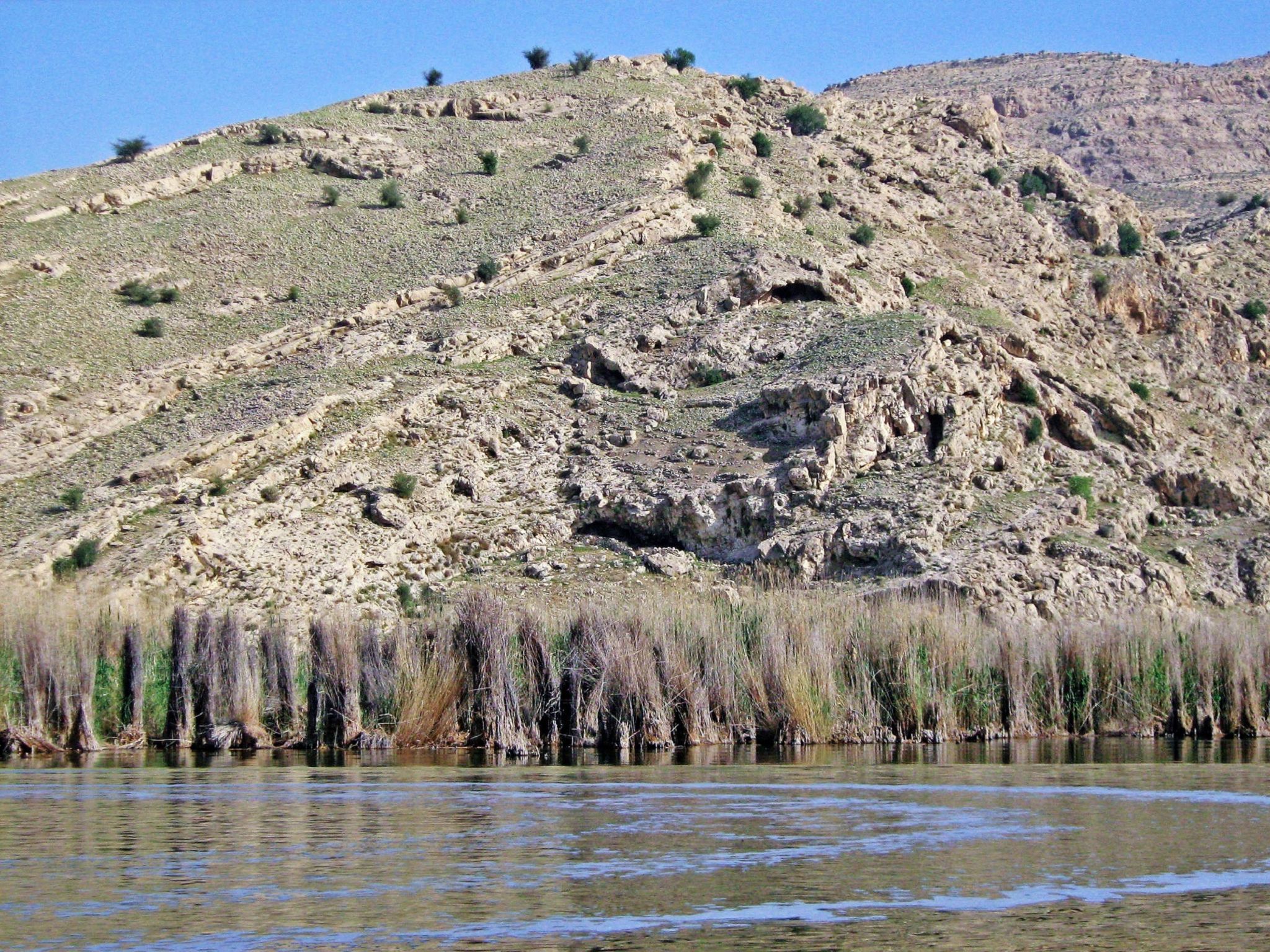 Community photo by Hassan