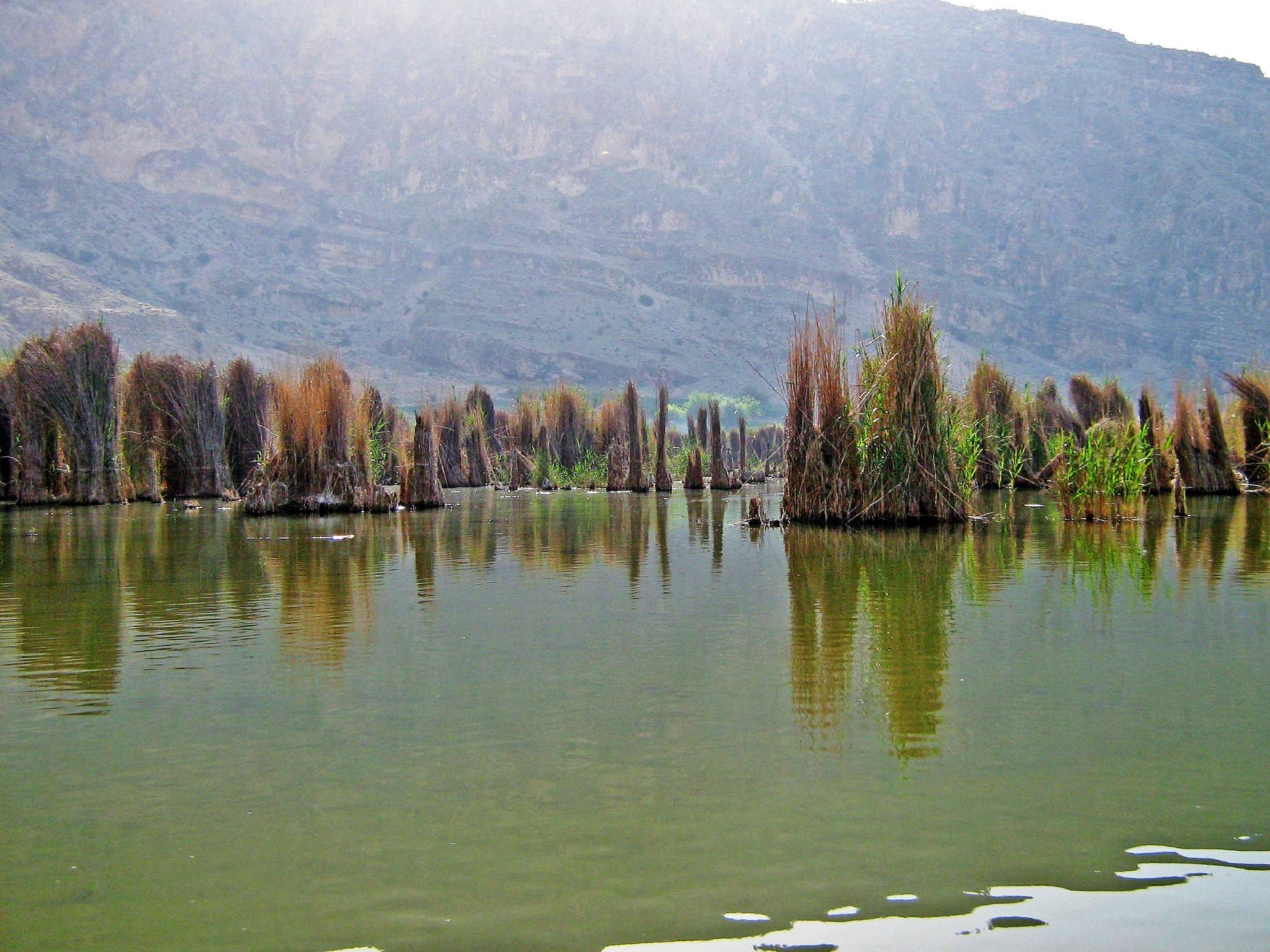 Community photo by Hassan