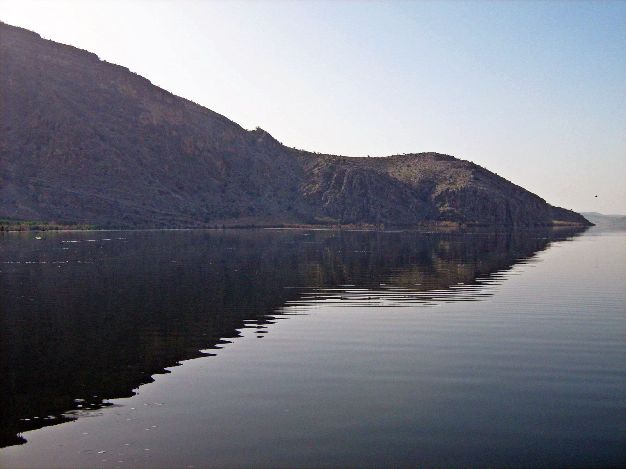 Community photo by Hassan Dadashi  Arani | Fars province. Iran