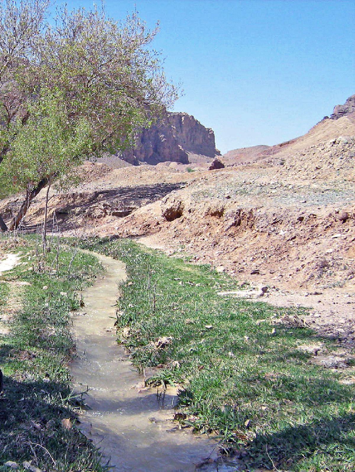 Community photo by Hassan