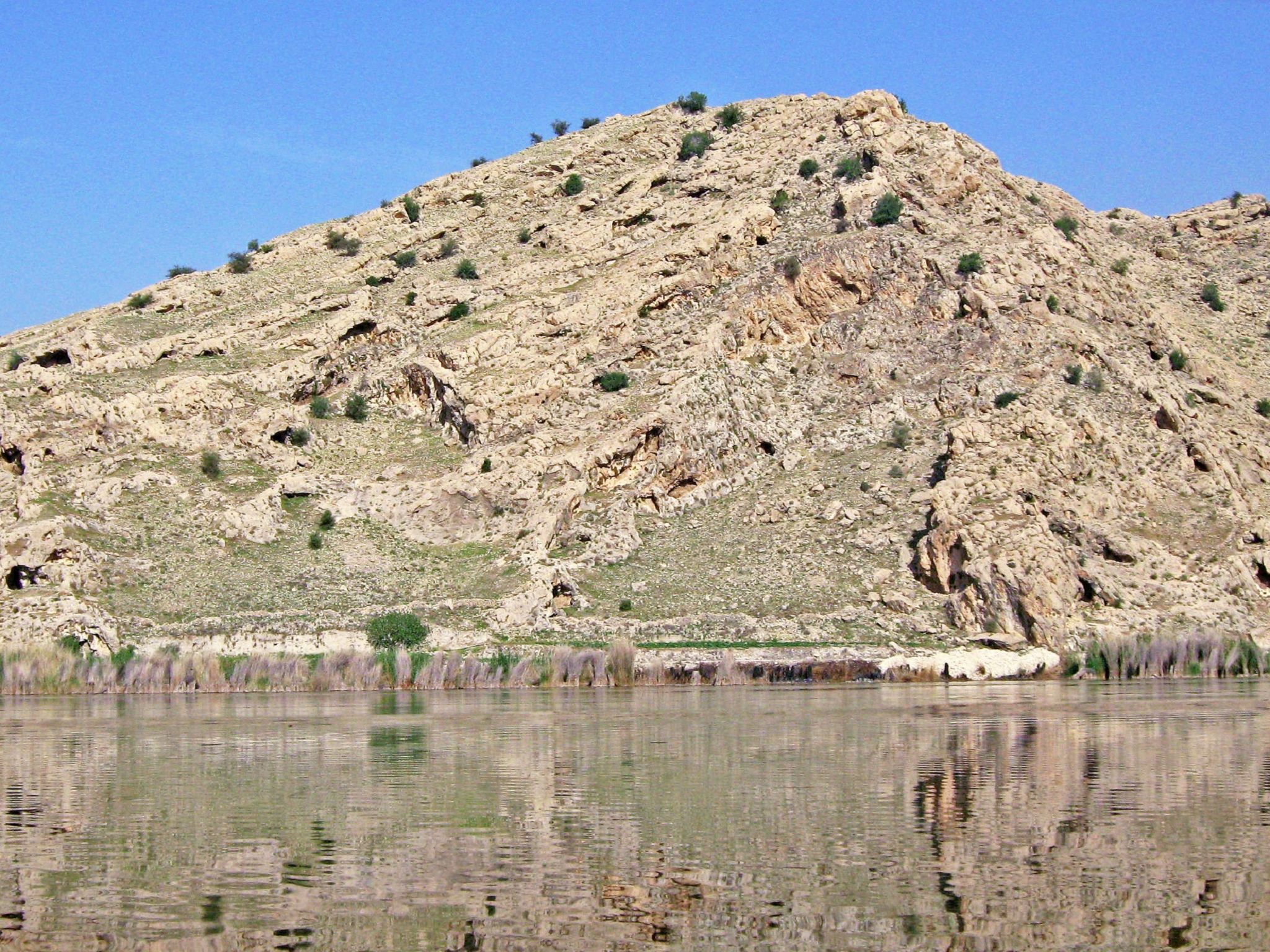 Community photo by Hassan