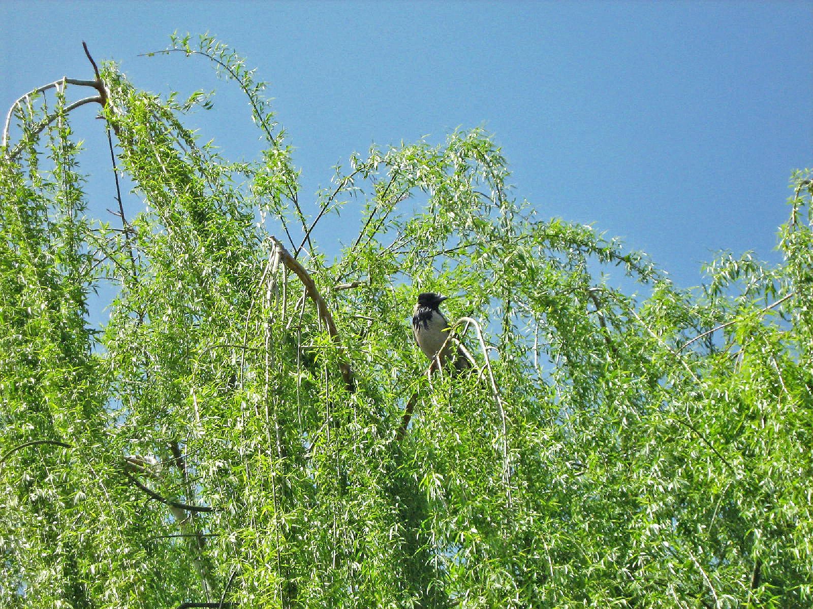 Community photo by Hassan