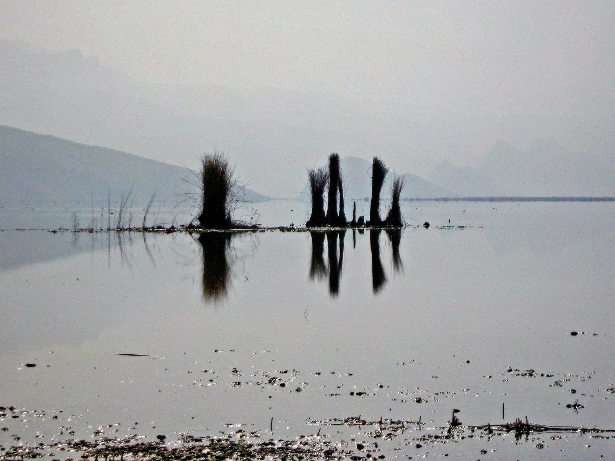 Community photo by Hassan