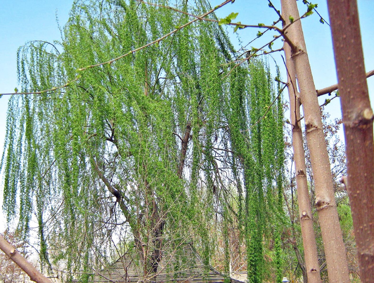Community photo by Hassan Dadashi  Arani | Esfahan. Iran