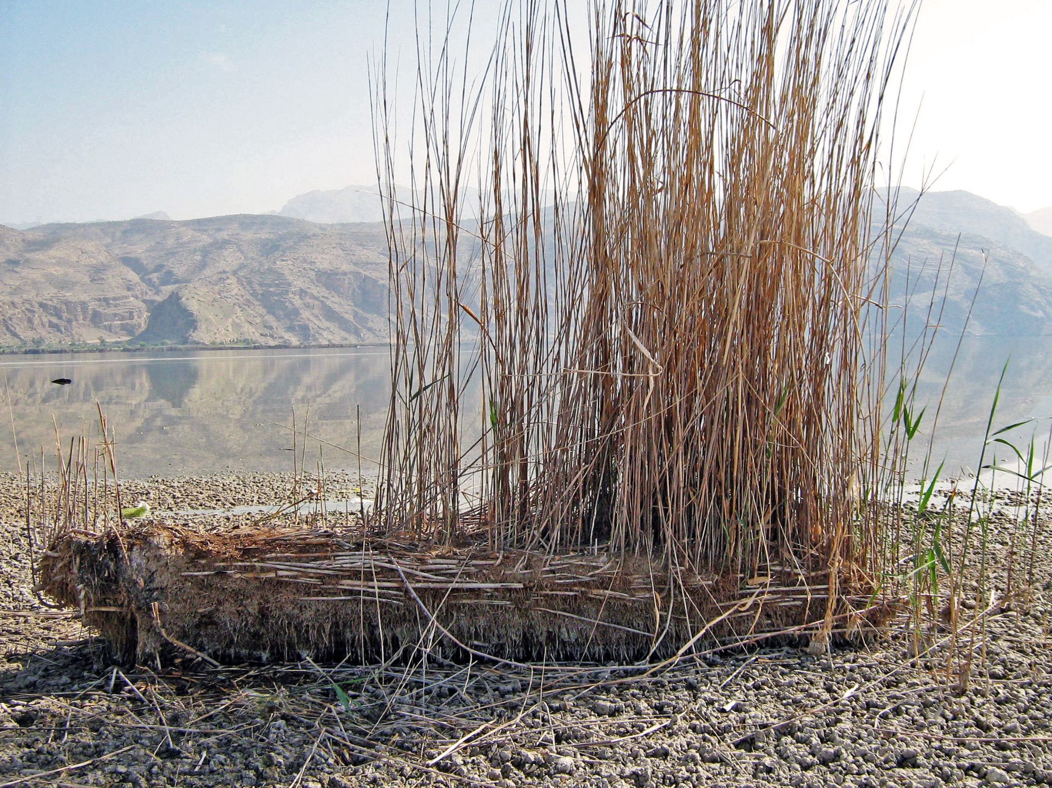 Community photo by Hassan