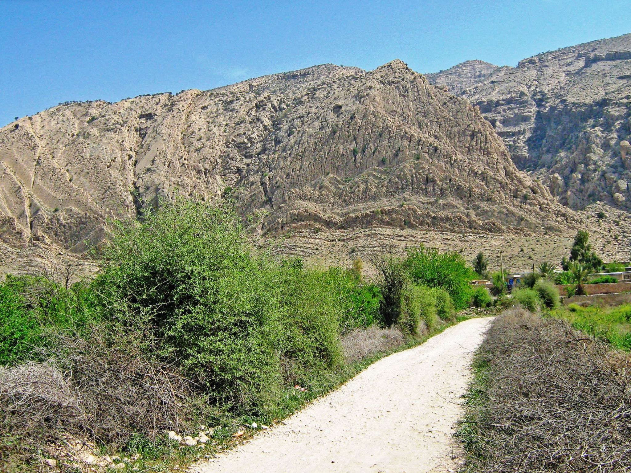 Community photo by Hassan