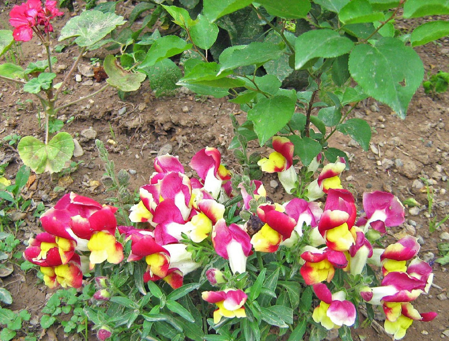 Community photo by Hassan