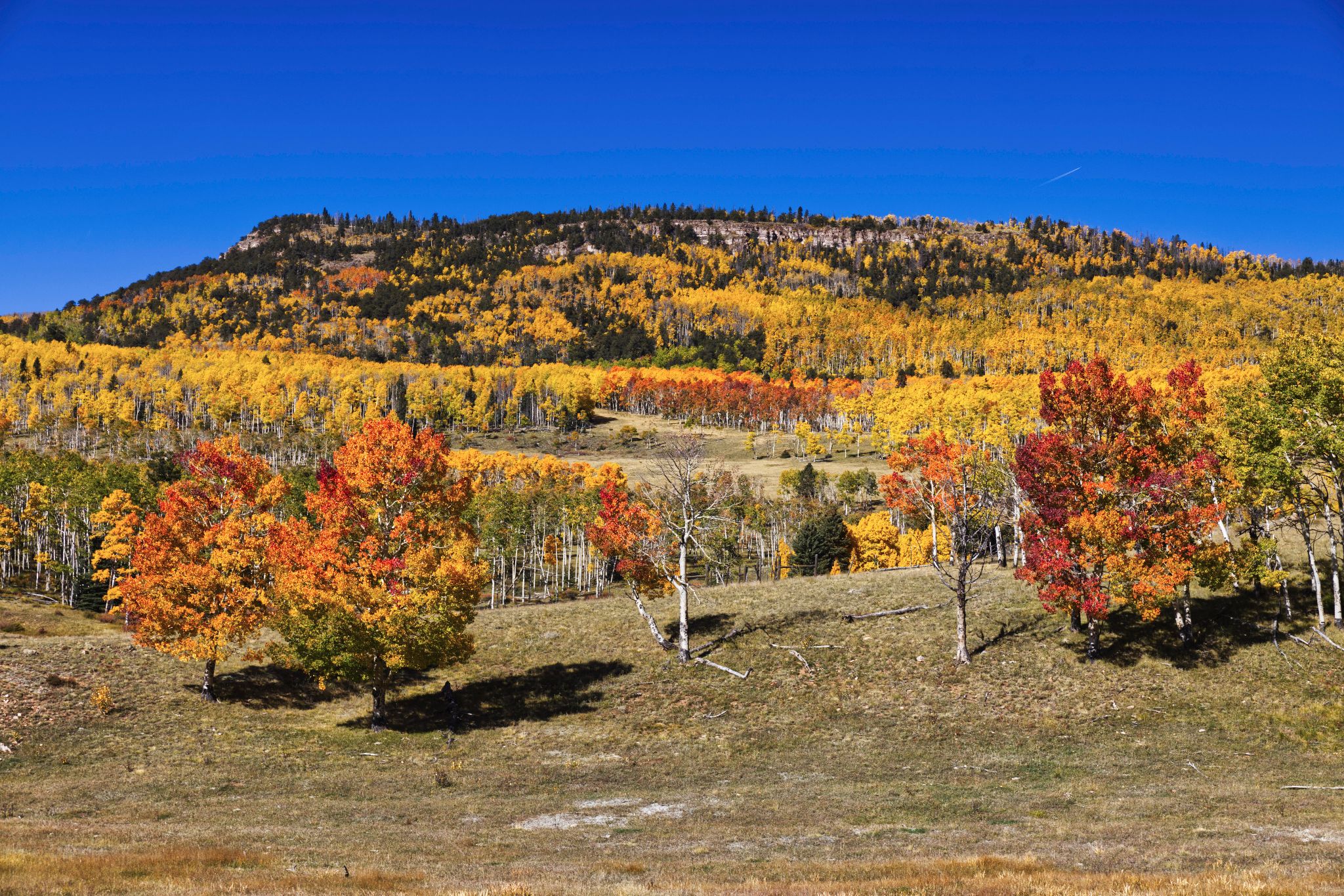 Community photo by Andy