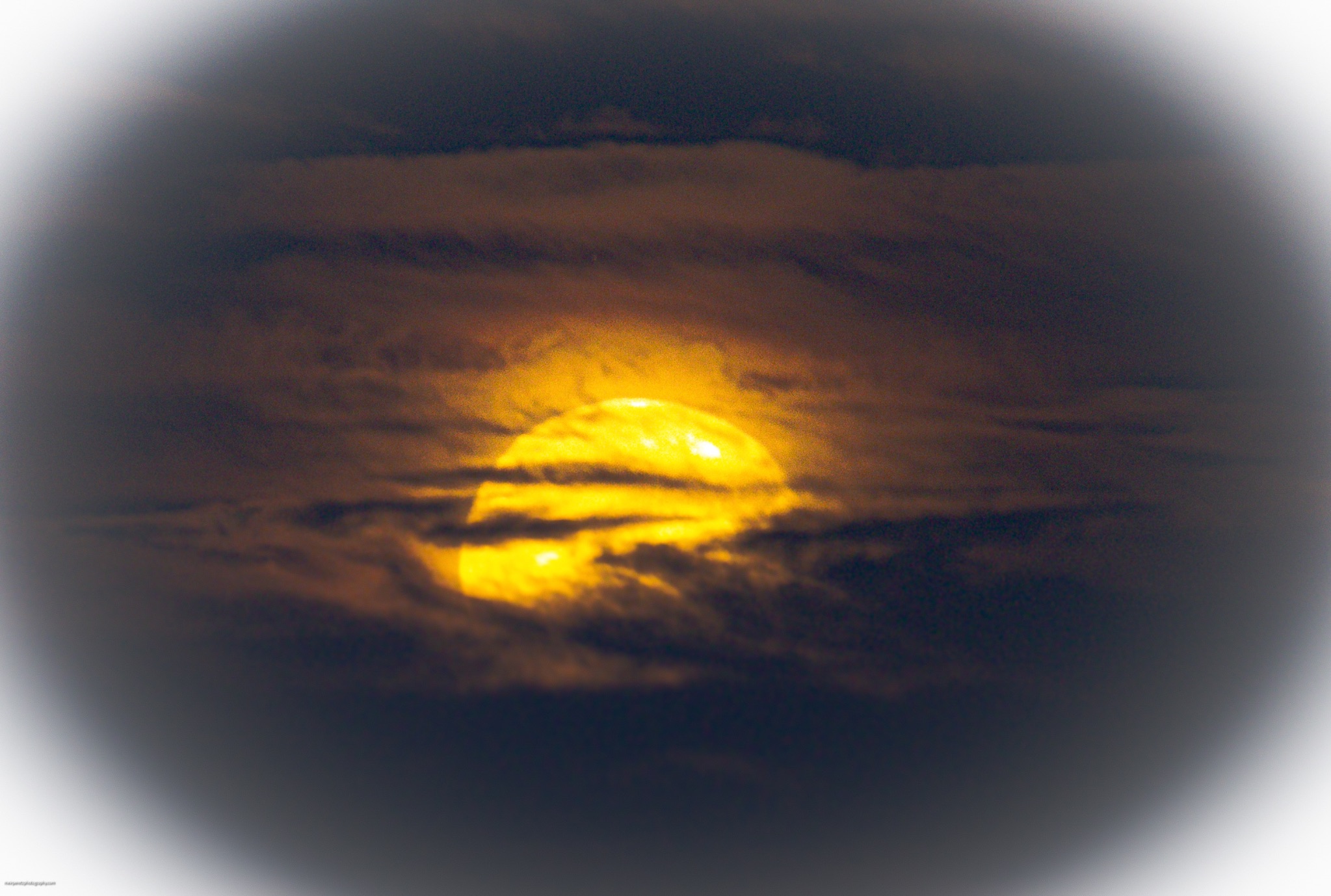 Community photo by MEIR peretz | Greenville , SC USA