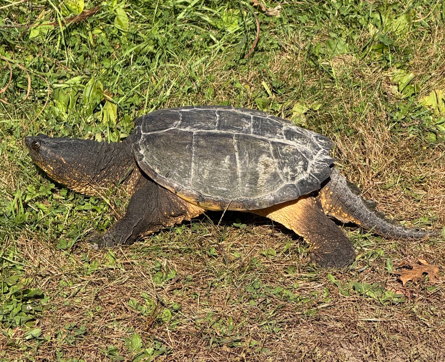 Community photo by Asha