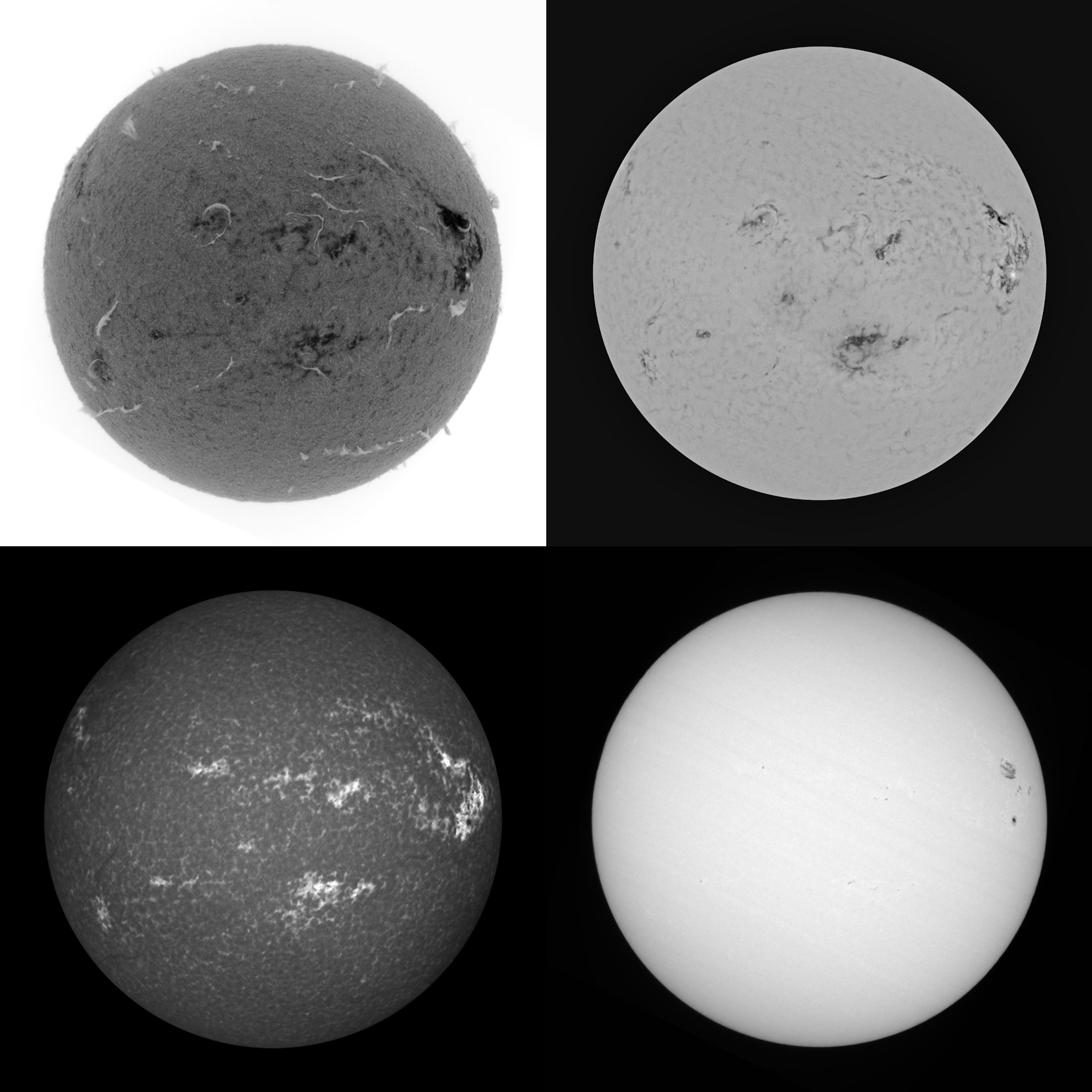 Community photo by Mario