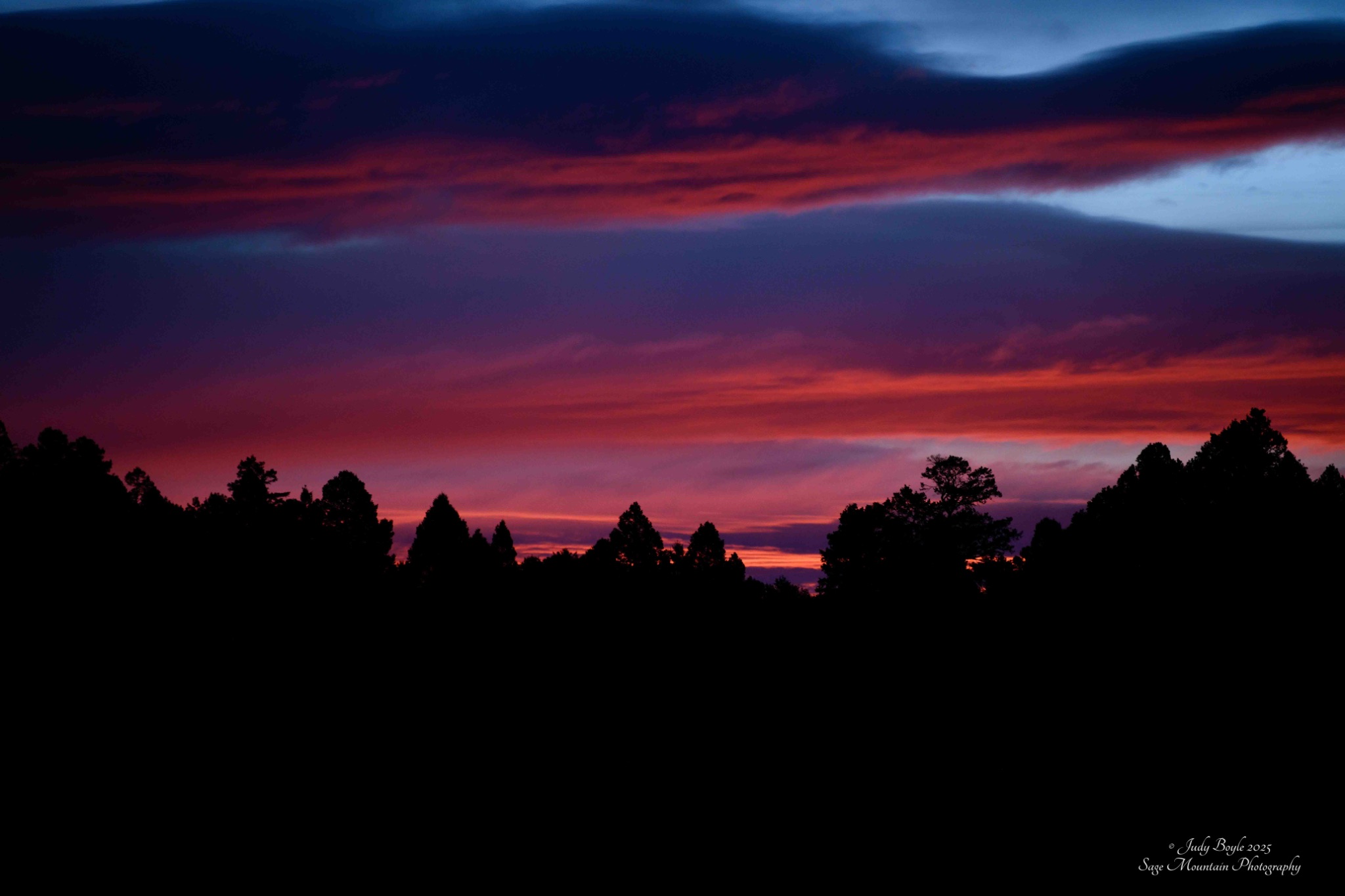 Community photo by Judy Boyle | Whitehall, Montana