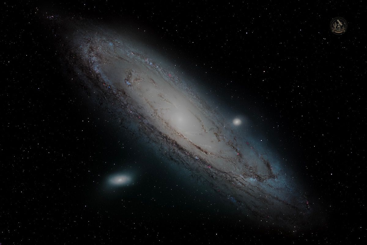 Community photo by Jelieta Walinski Ph.D | Desert Bloom Observatory, AZ, USA