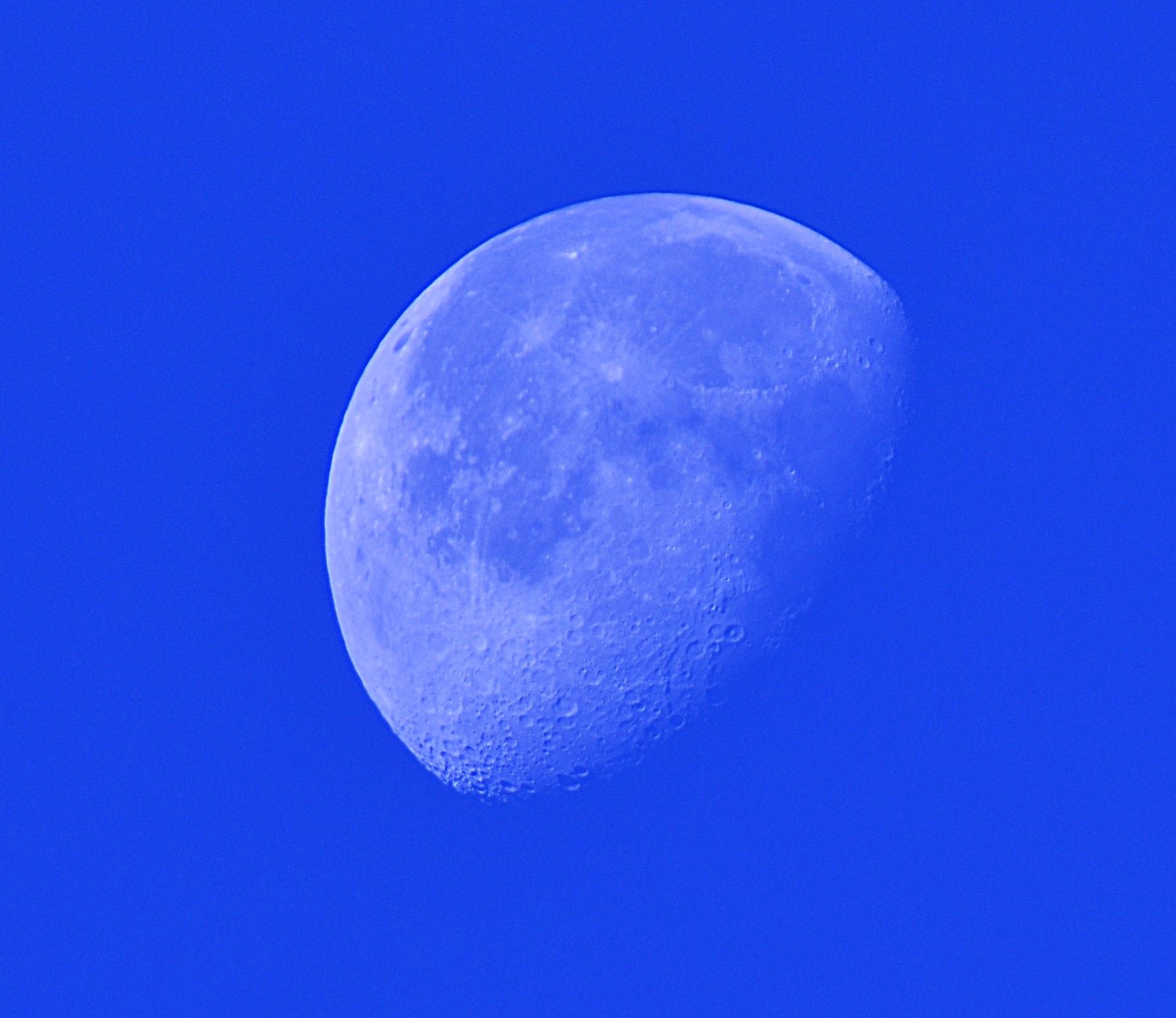 Community photo by Asha