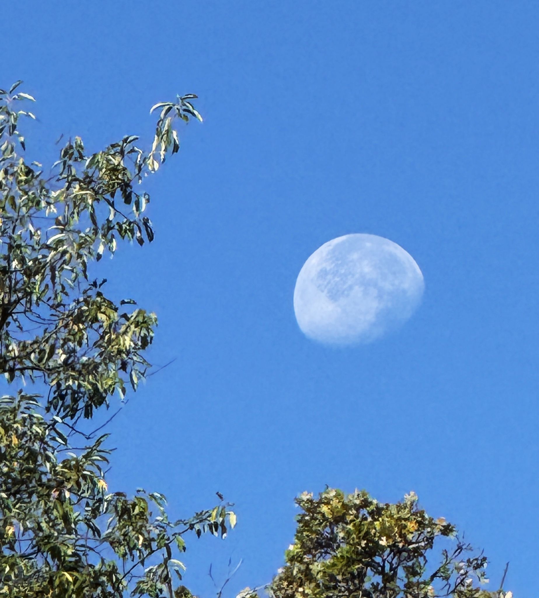 Community photo by Asha Prasad | Minnesota, USA