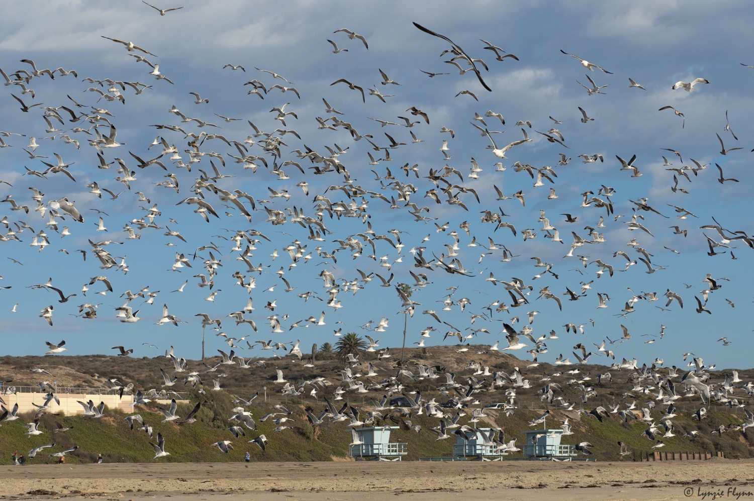 Community photo by Lynzie