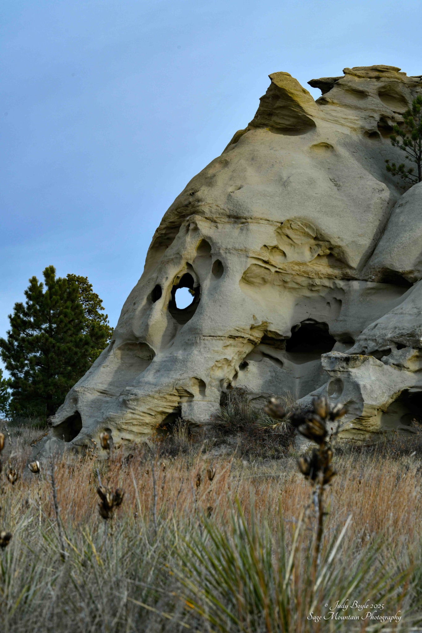 Community photo by Judy Boyle | Ekalaka, Montana USA