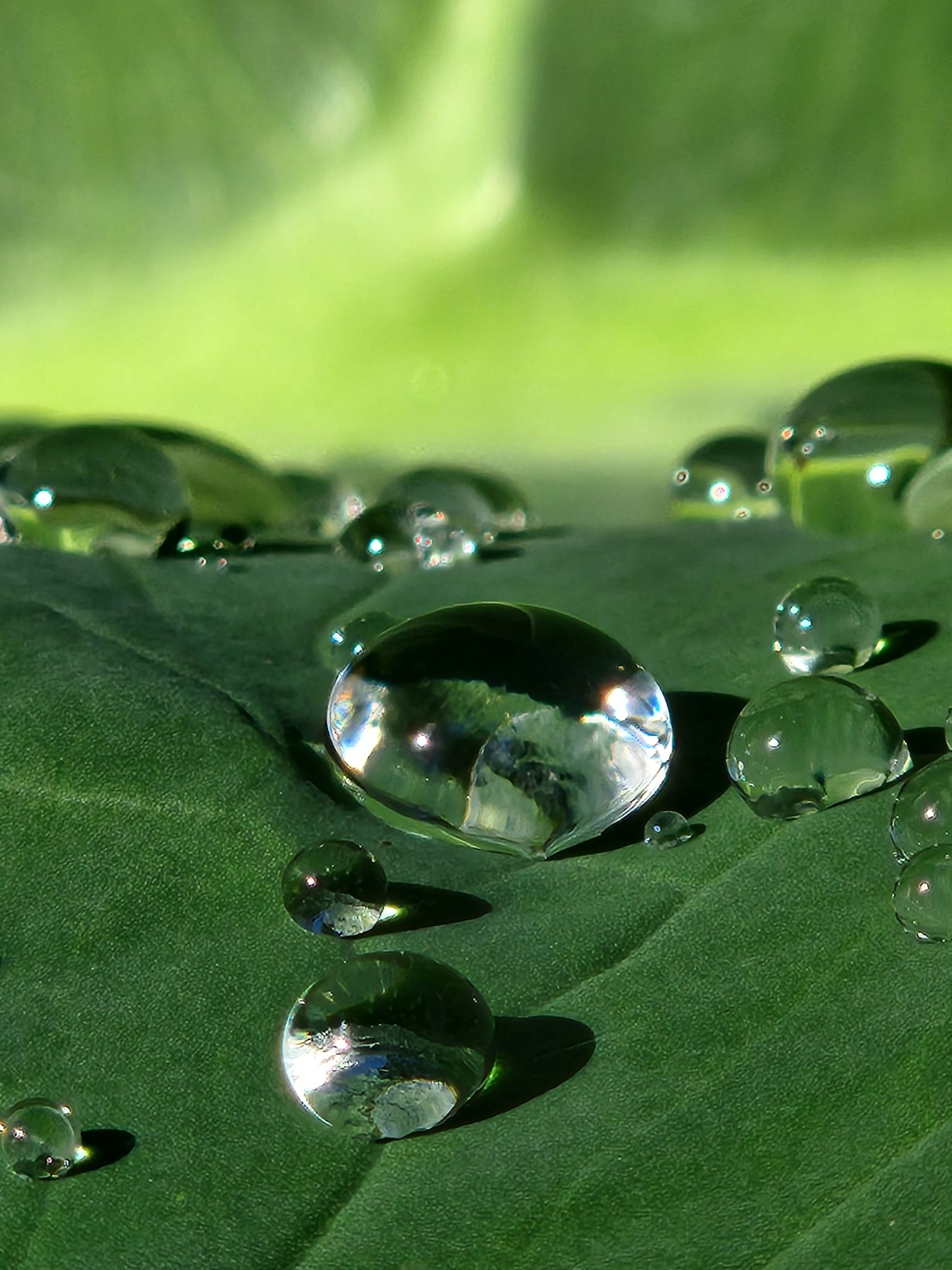 Community photo by Jo-Ann Hem Lee | Trincity Trinidad & Tobago