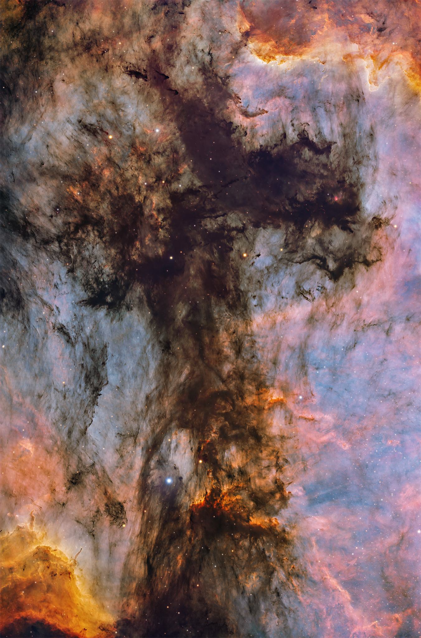 Community photo by Jeffrey Horne | Nashville, TN