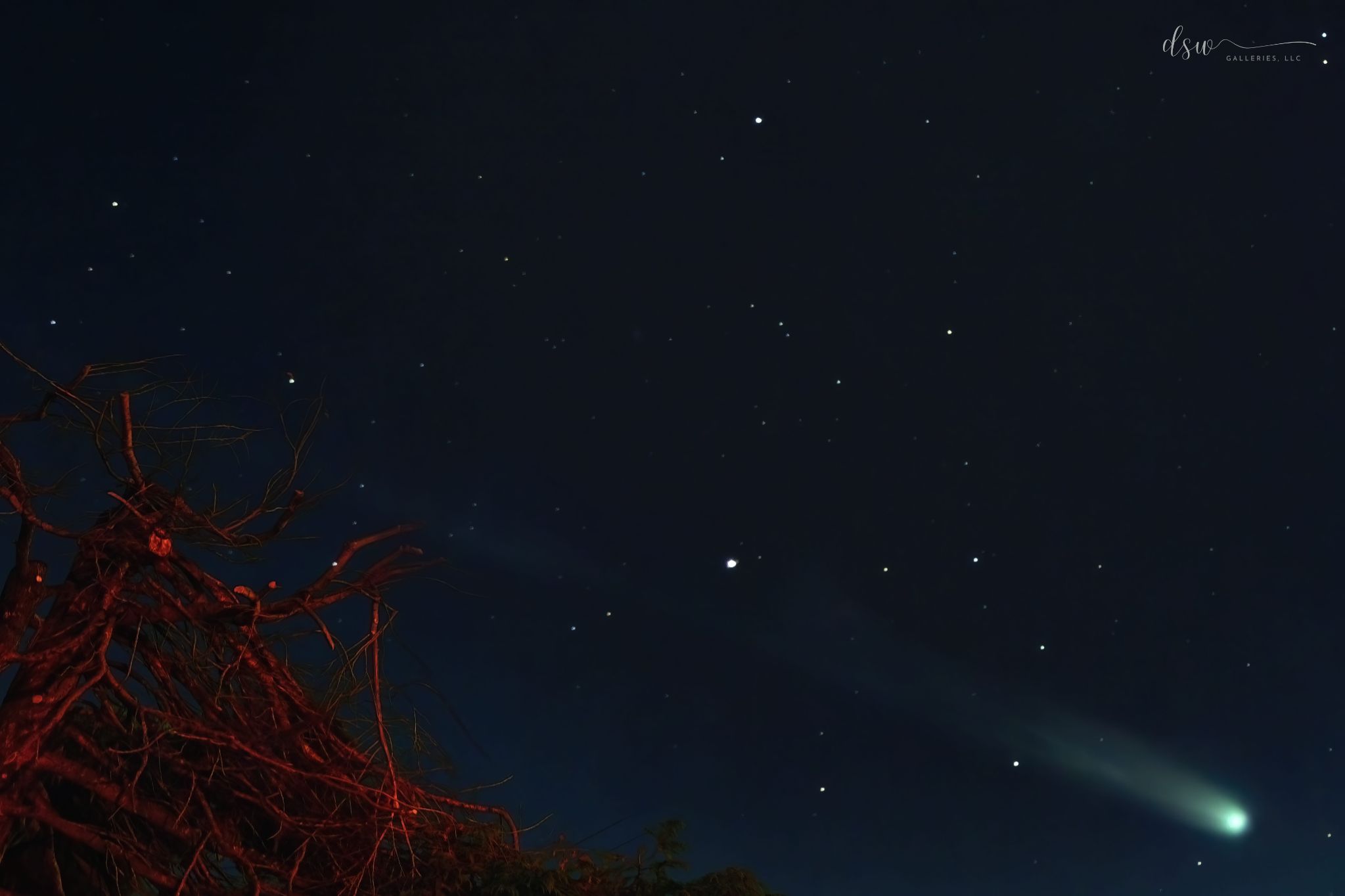 Community photo by Jeremy Likness | Newport, OR