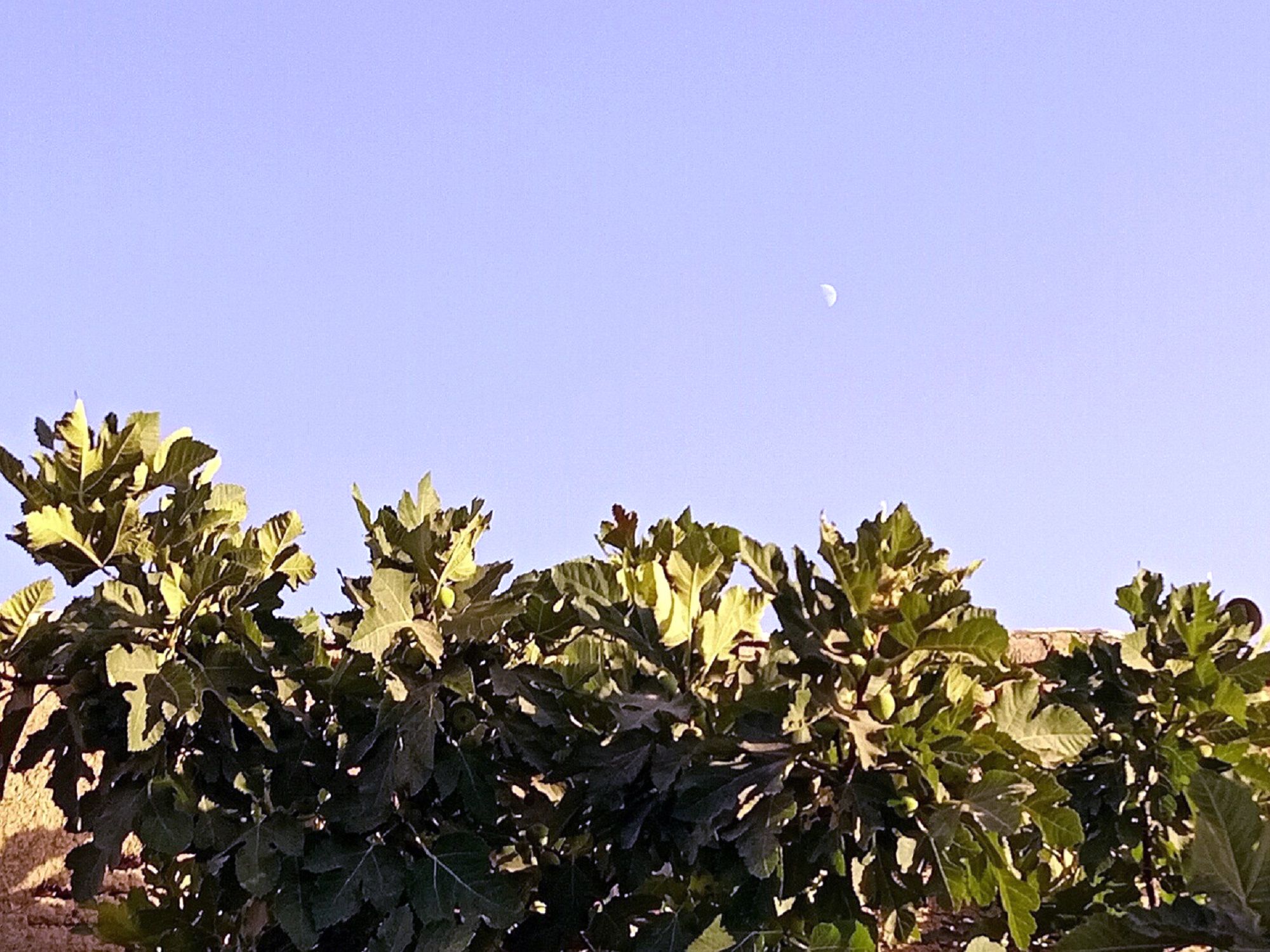 Community photo by Hassan