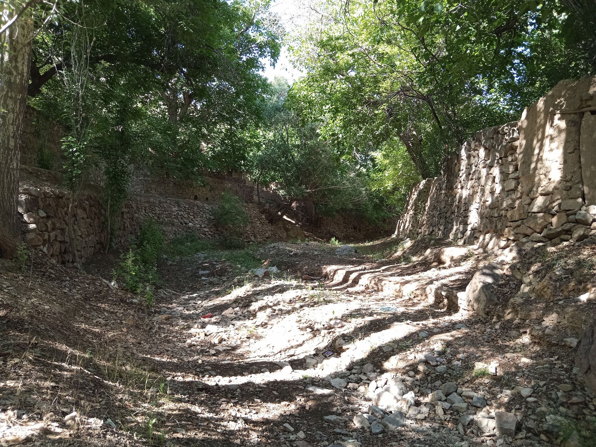 Community photo by Hassan