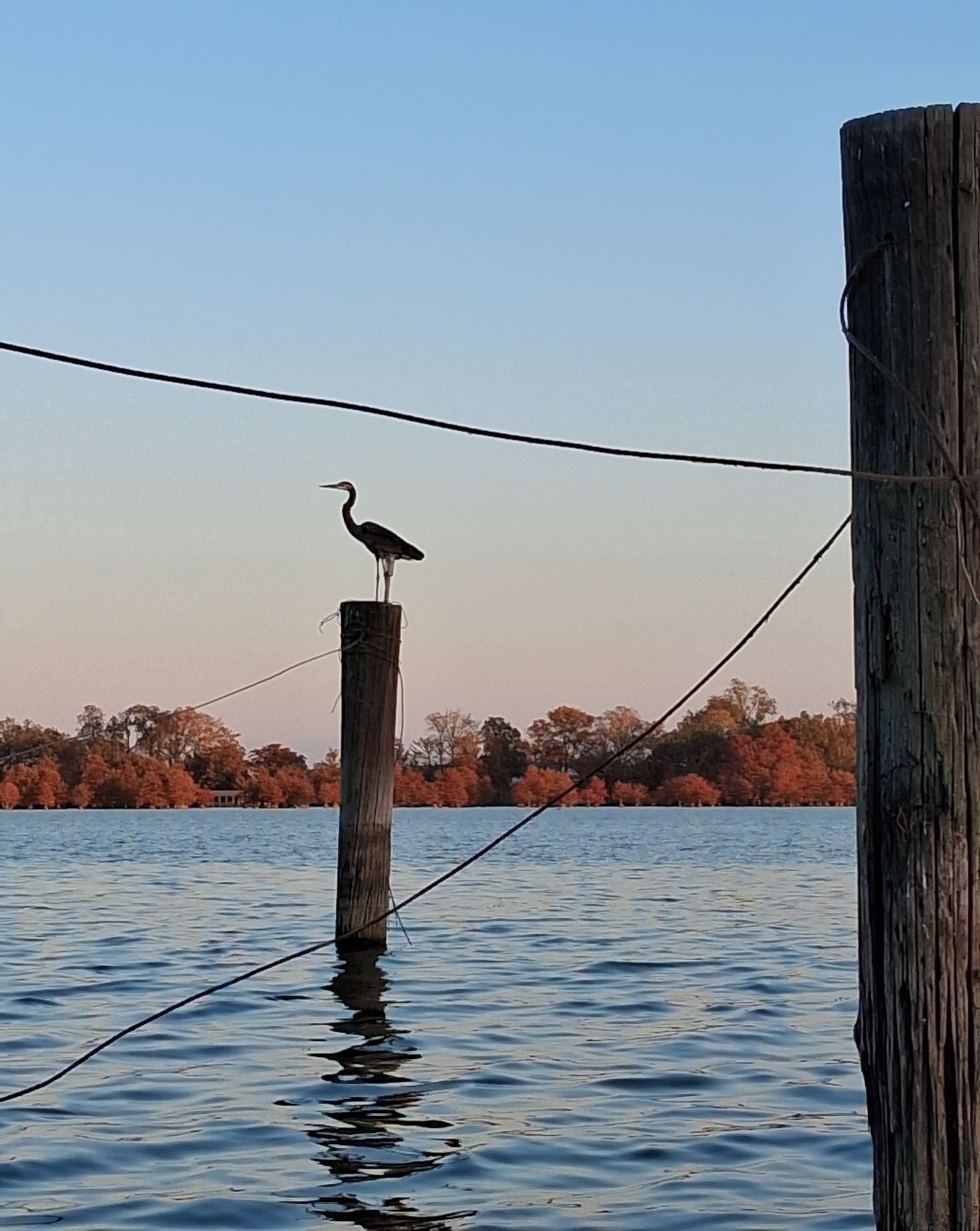 Community photo by Retha