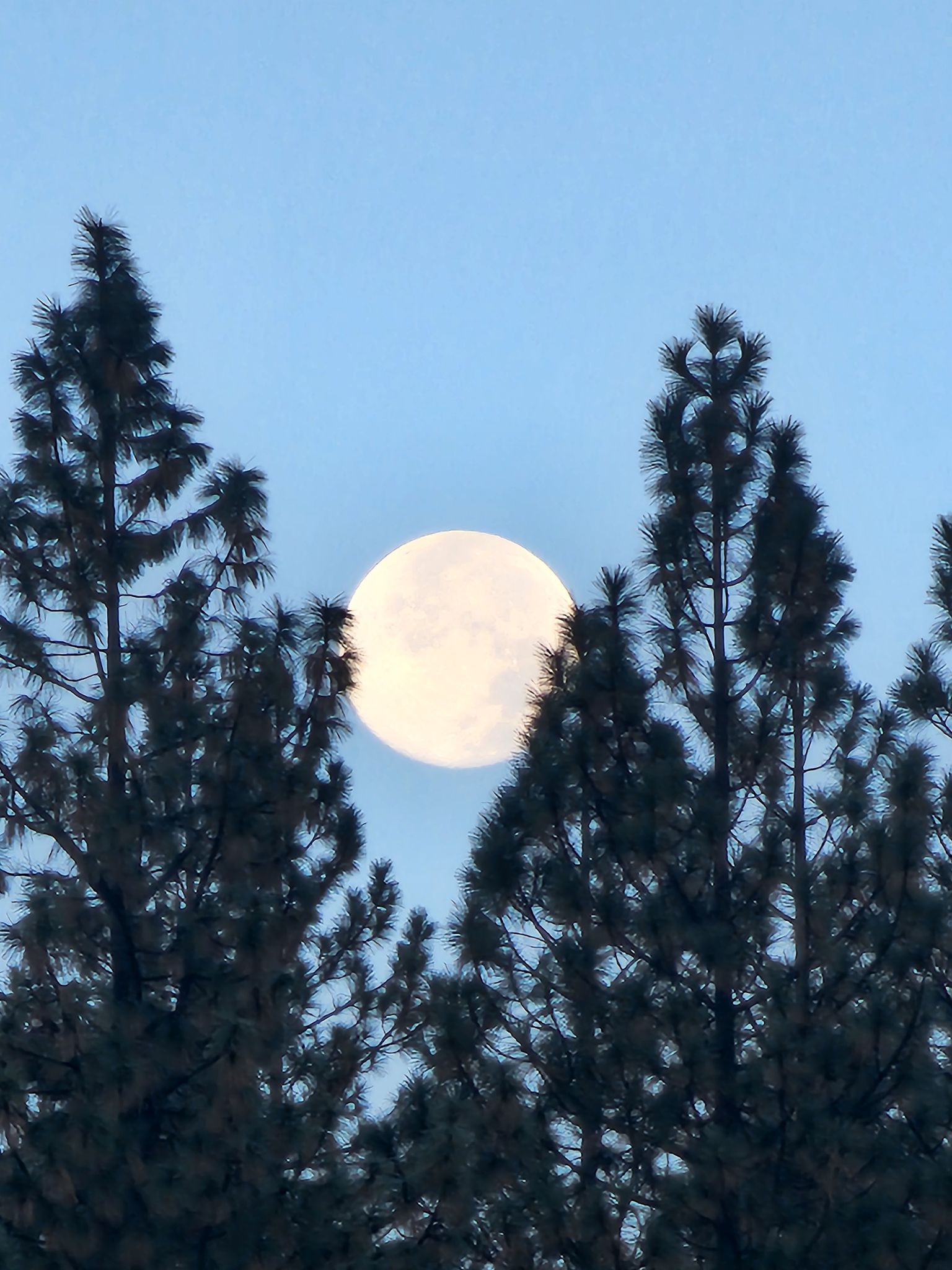 Community photo by Ivy