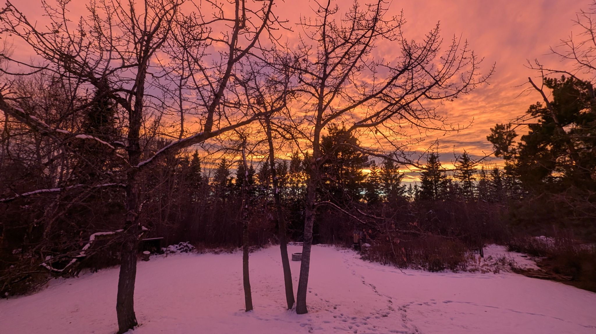 Community photo by Brady