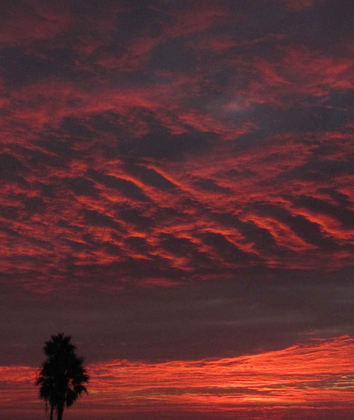 Community photo by Laurie Engelhardt | Hermosa Beach, CA
