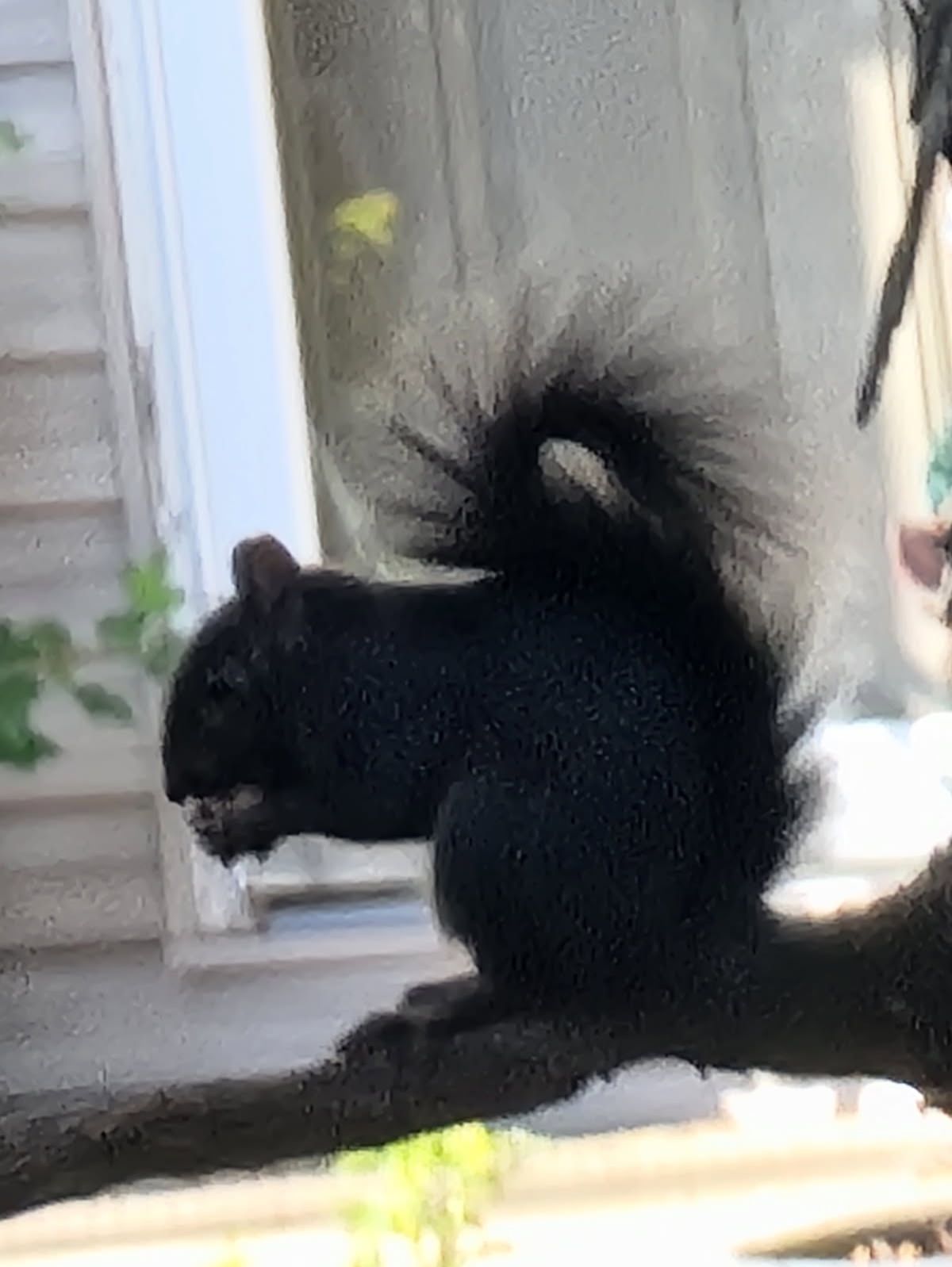 Community photo by sjerri