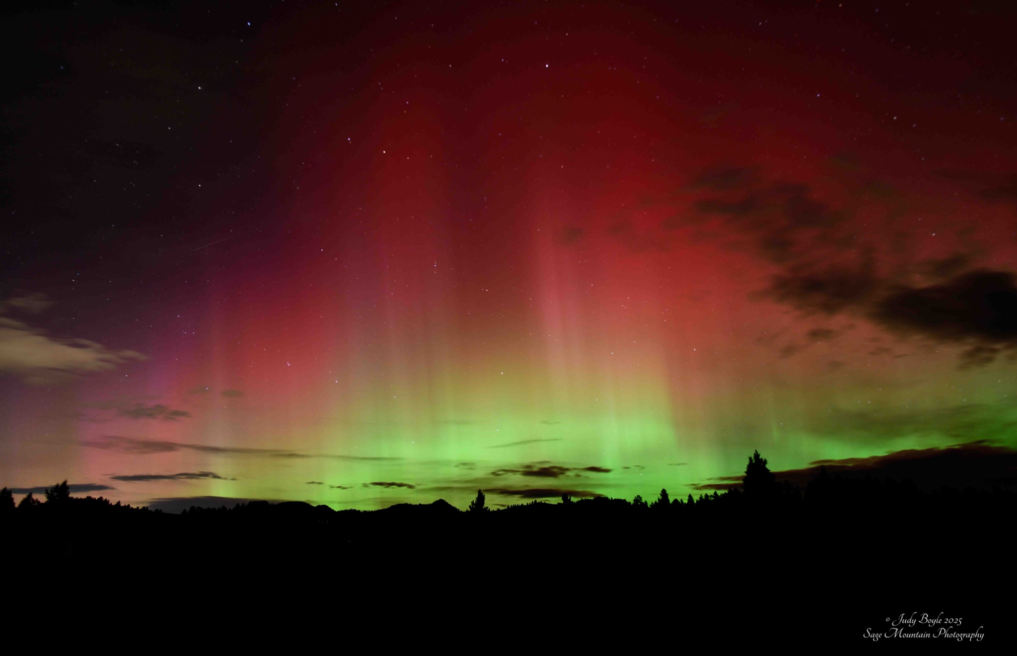 Community photo by Judy Boyle | Whitehall, MT USA