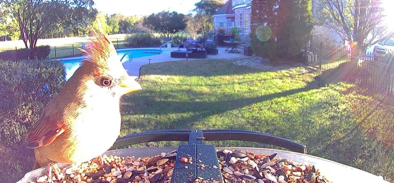 Community photo by Mark Wralstad | Virginia Beach, VA, USA