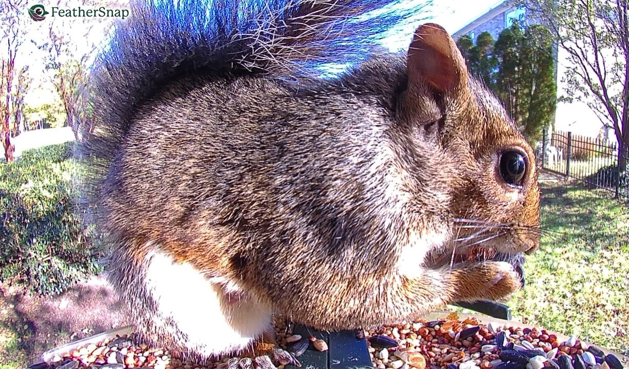 Community photo by Mark