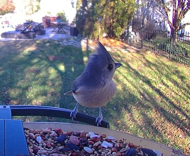 Community photo by Mark