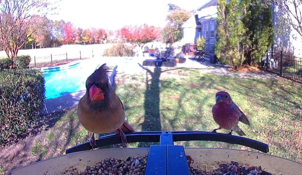 Community photo by Mark Wralstad | Virginia Beach, VA, USA