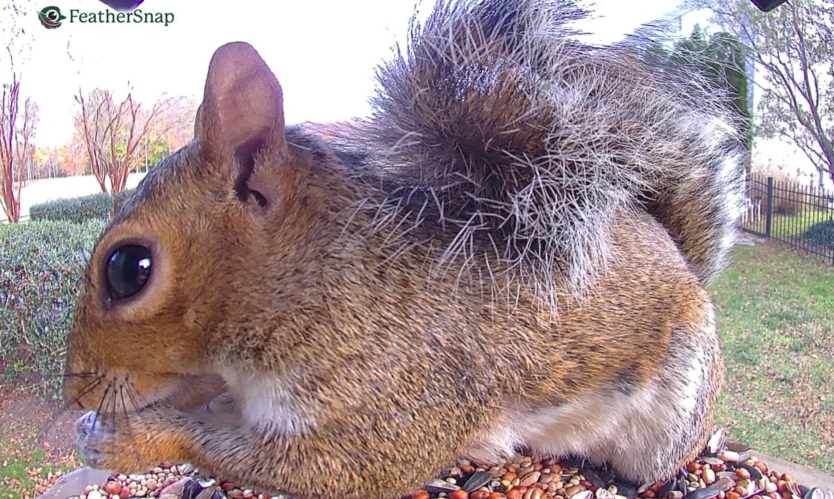 Community photo by Mark Wralstad | Virginia Beach, VA, USA