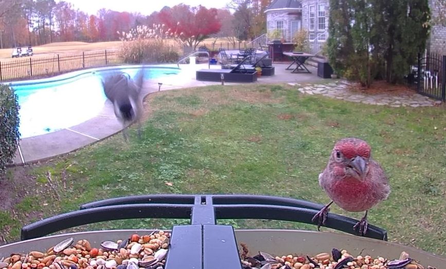 Community photo by Mark Wralstad | Virginia Beach, VA, USA